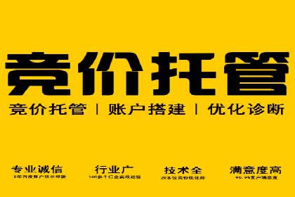 深度解析：竞价推广公司经典案例